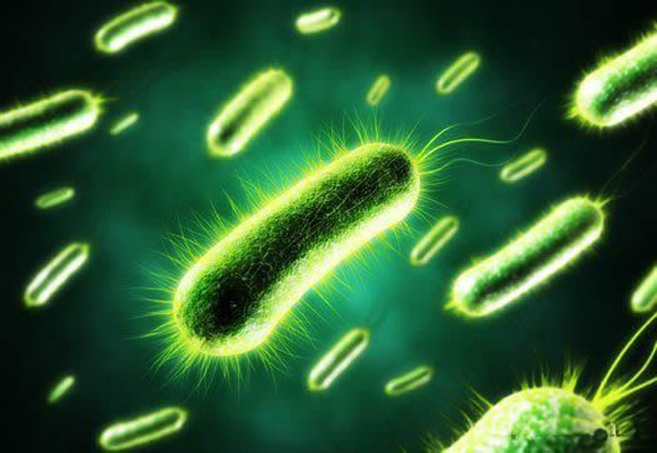 涨知识|微生物染色是怎么回事?